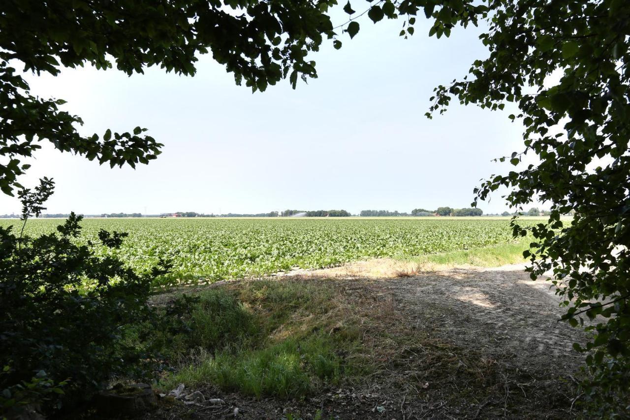 De Buitenhof Marknesse Kültér fotó